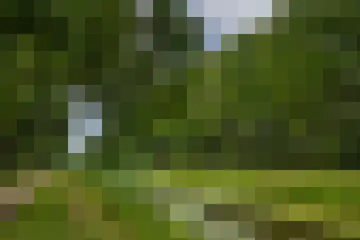Mekkelenbergweg 38 Harbrinkhoek thumbnail 39