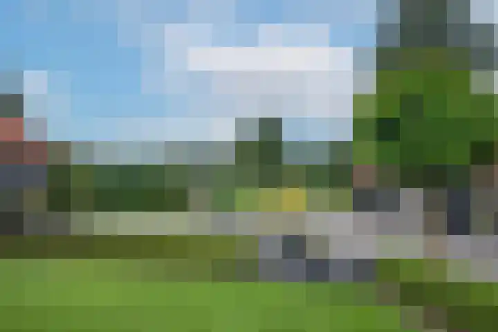 Mekkelenbergweg 38 Harbrinkhoek thumbnail 4