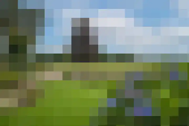 Mekkelenbergweg 38 Harbrinkhoek thumbnail 7