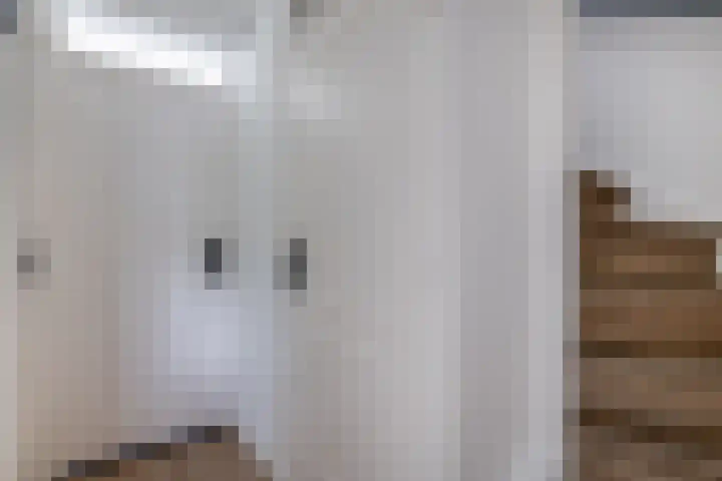 Mekongdreef 25 Utrecht thumbnail 12