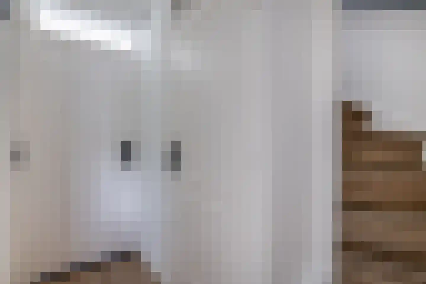 Mekongdreef 25 Utrecht thumbnail 13