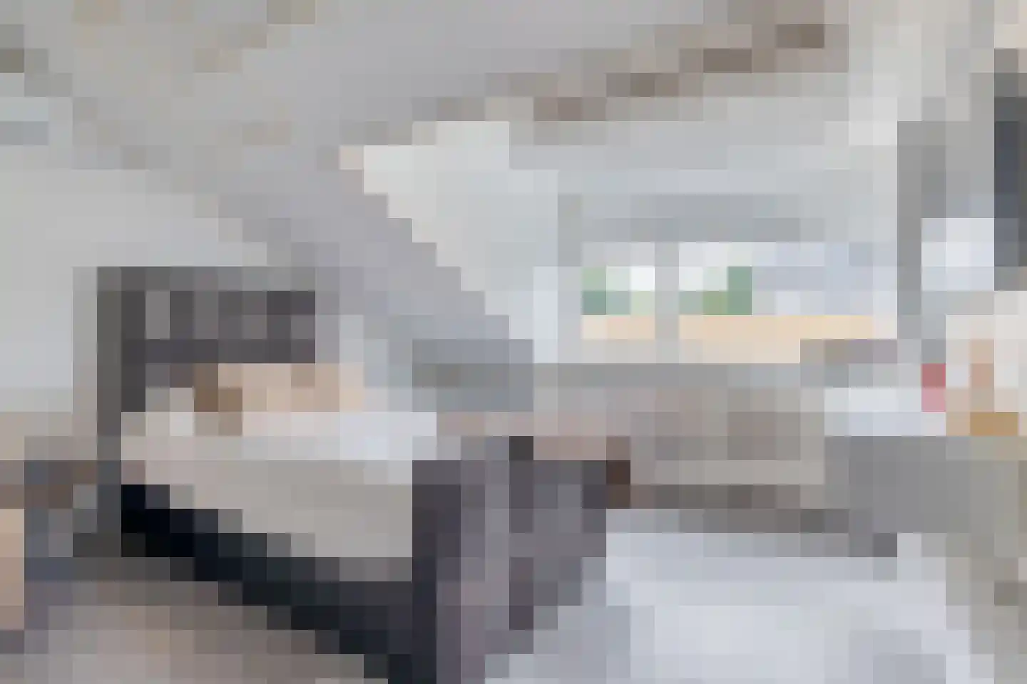 Mekongdreef 25 Utrecht thumbnail 36