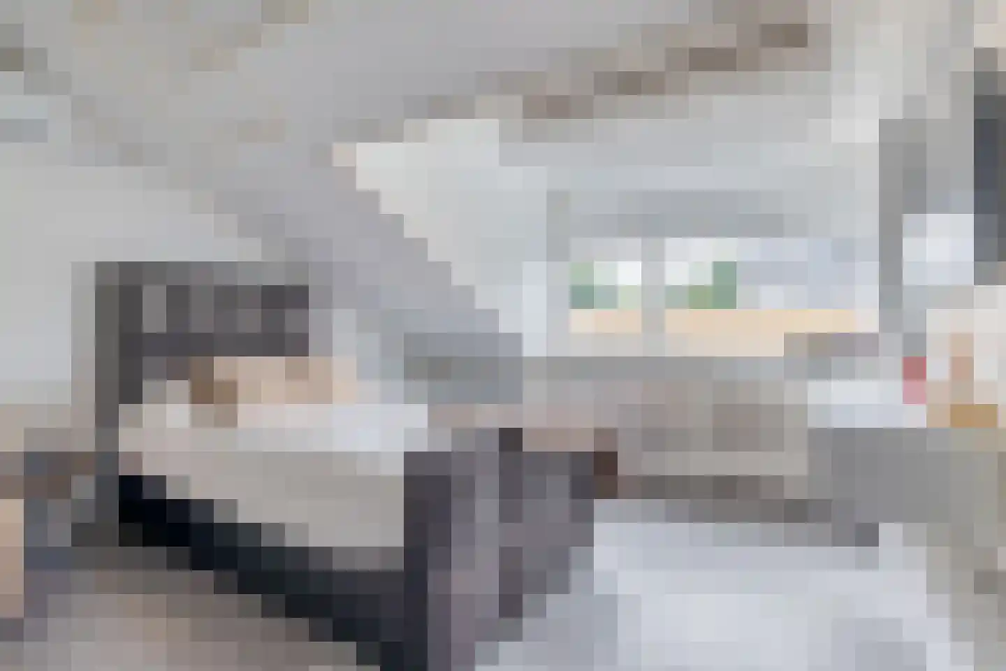 Mekongdreef 25 Utrecht thumbnail 37