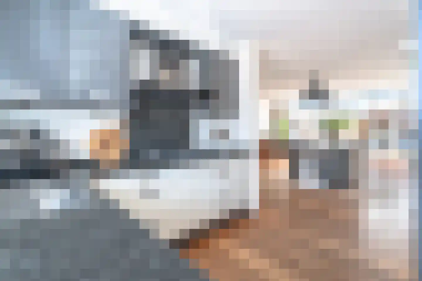 Mekongstraat 16 Spijkenisse thumbnail 23