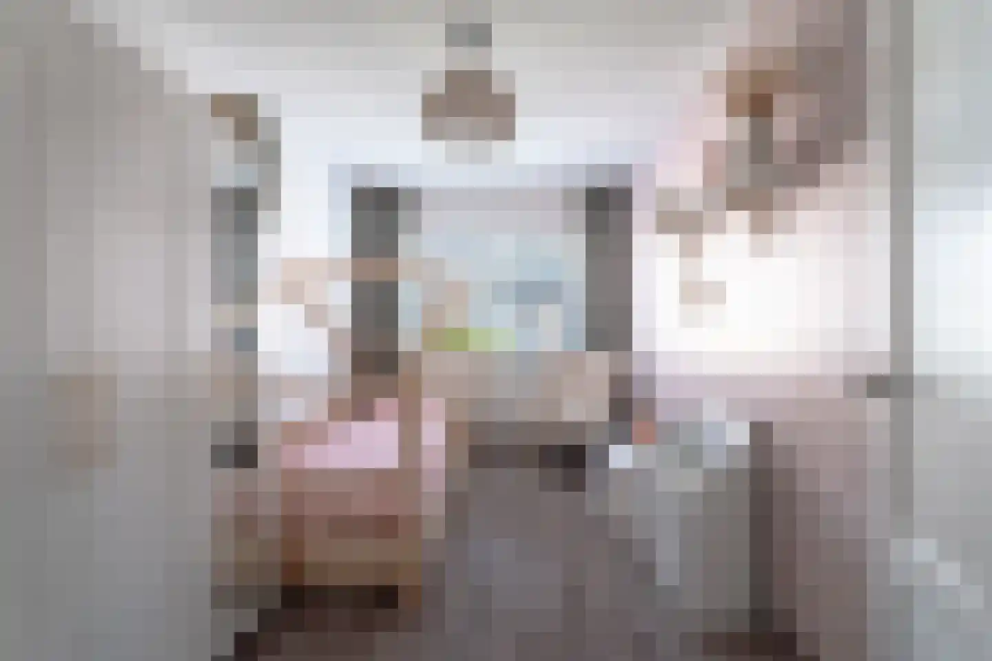 Mekongstraat 16 Spijkenisse thumbnail 33