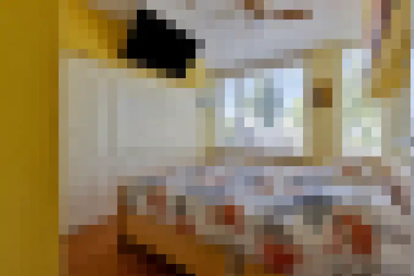 Mekongstraat 38 Spijkenisse thumbnail 13
