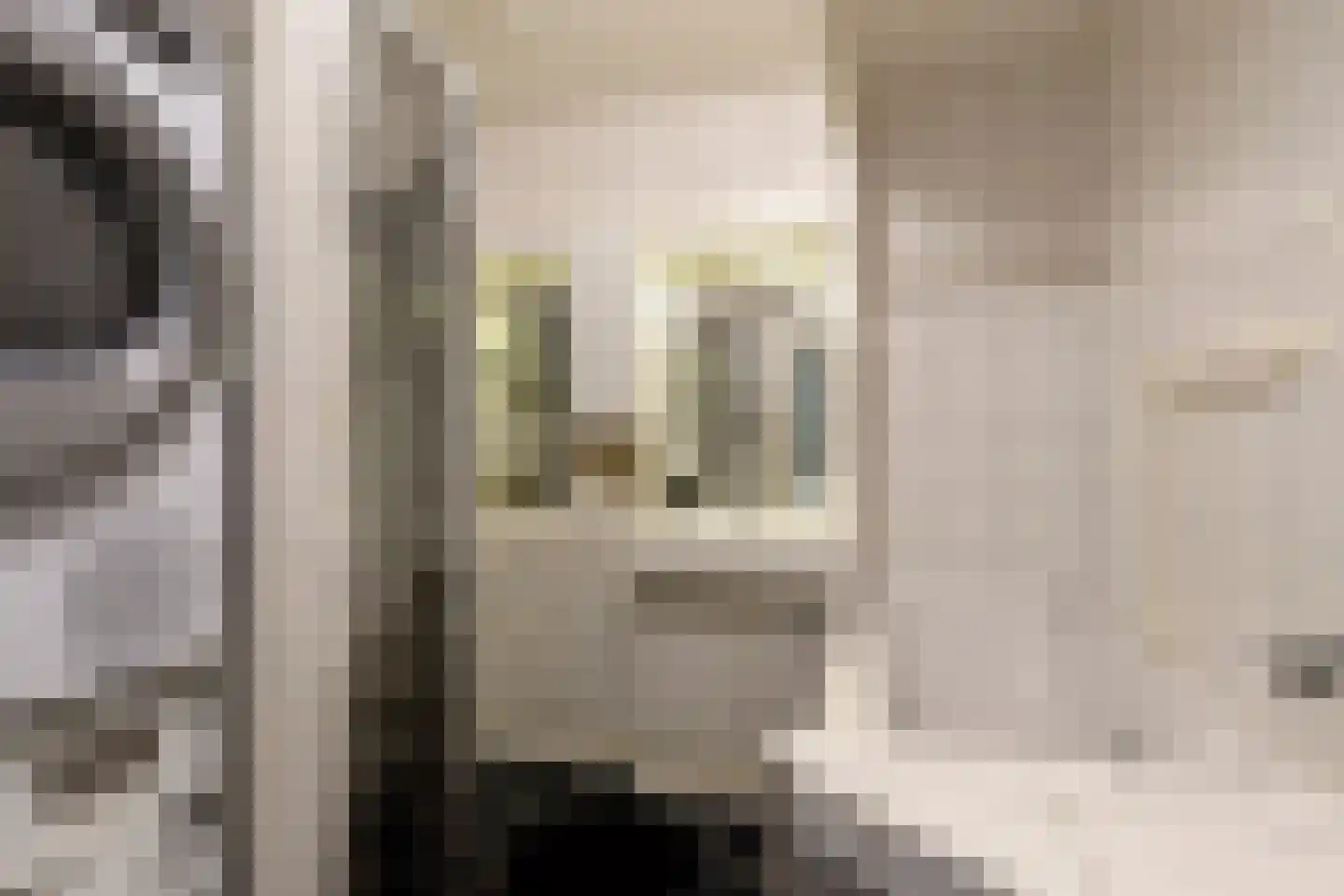 Mekongstraat 38 Spijkenisse thumbnail 17