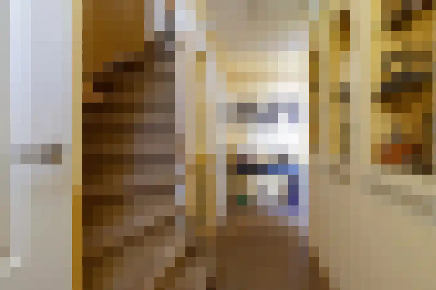 Mekongstraat 38 Spijkenisse thumbnail 18