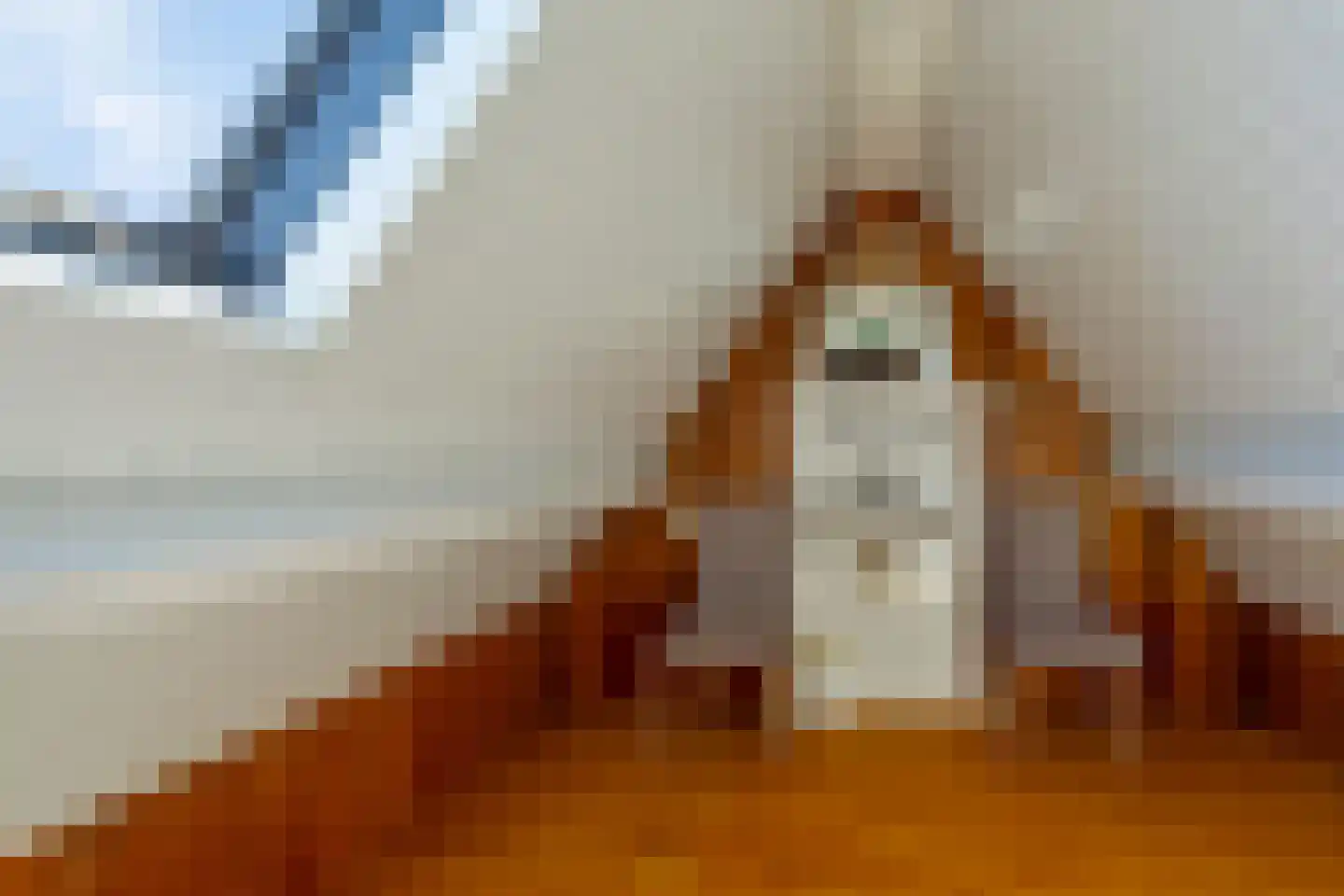 Mekongstraat 38 Spijkenisse thumbnail 25