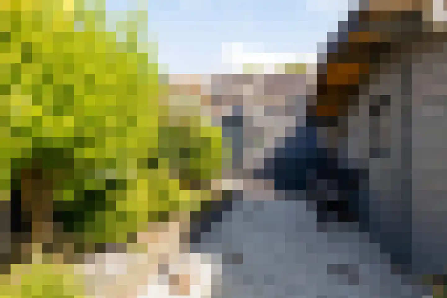 Mekongstraat 38 Spijkenisse thumbnail 29