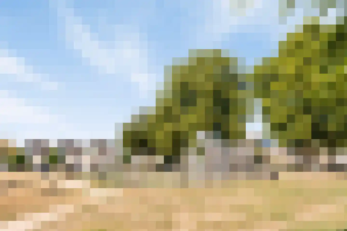 Mekongstraat 38 Spijkenisse thumbnail 33