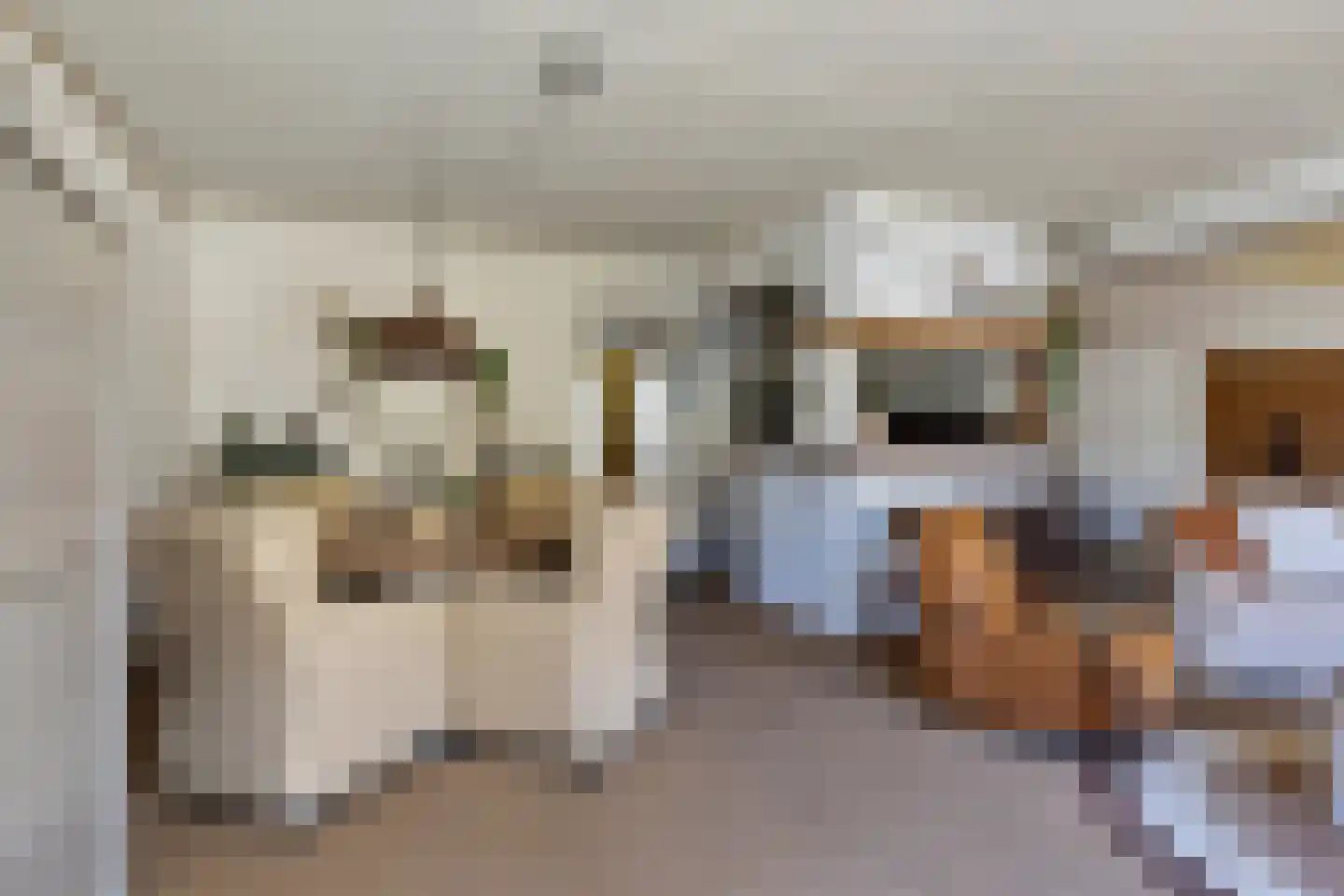Mekongstraat 38 Spijkenisse thumbnail 6