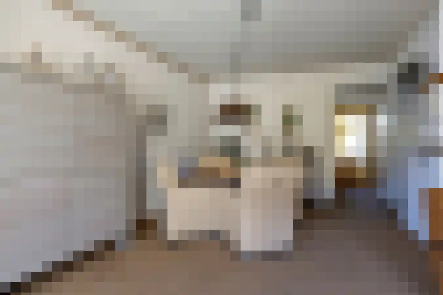 Mekongstraat 38 Spijkenisse thumbnail 7