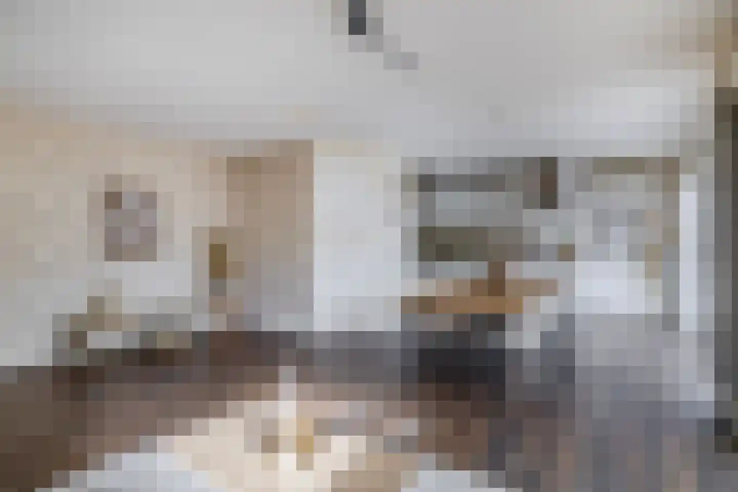 Mekongstraat 5 Spijkenisse thumbnail 17