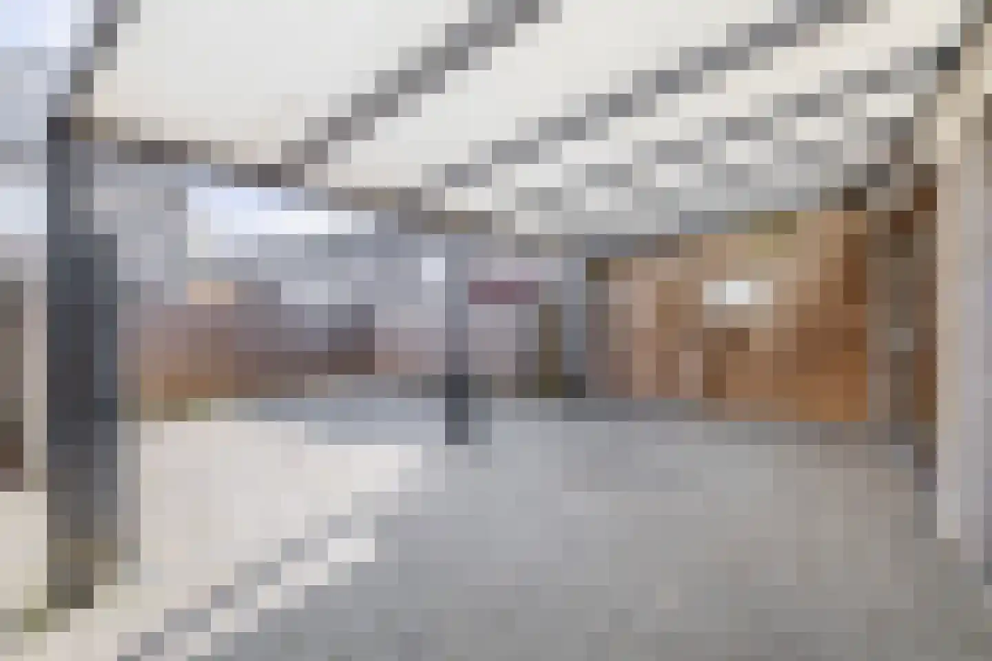Mekongstraat 5 Spijkenisse thumbnail 26