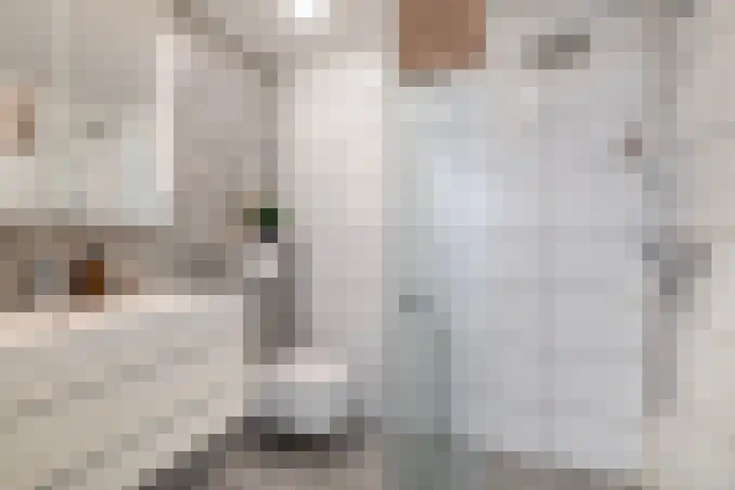 Mekongstraat 5 Spijkenisse thumbnail 32