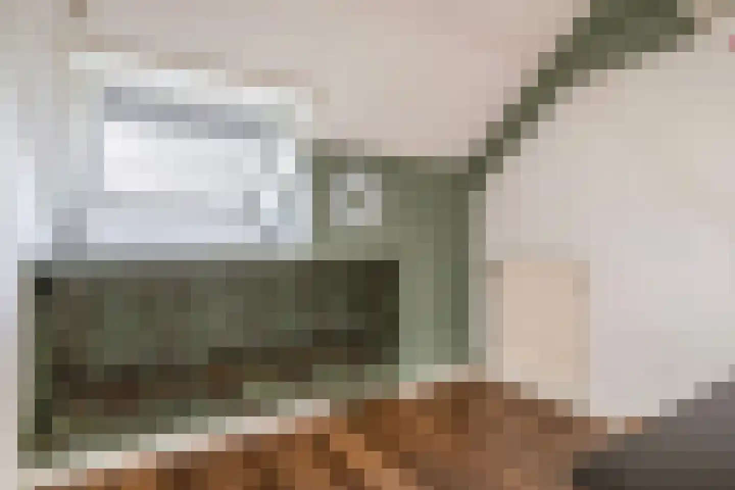 Mekongstraat 5 Spijkenisse thumbnail 37