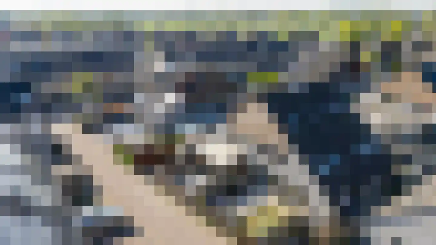 Mekongstraat 5 Spijkenisse thumbnail 40