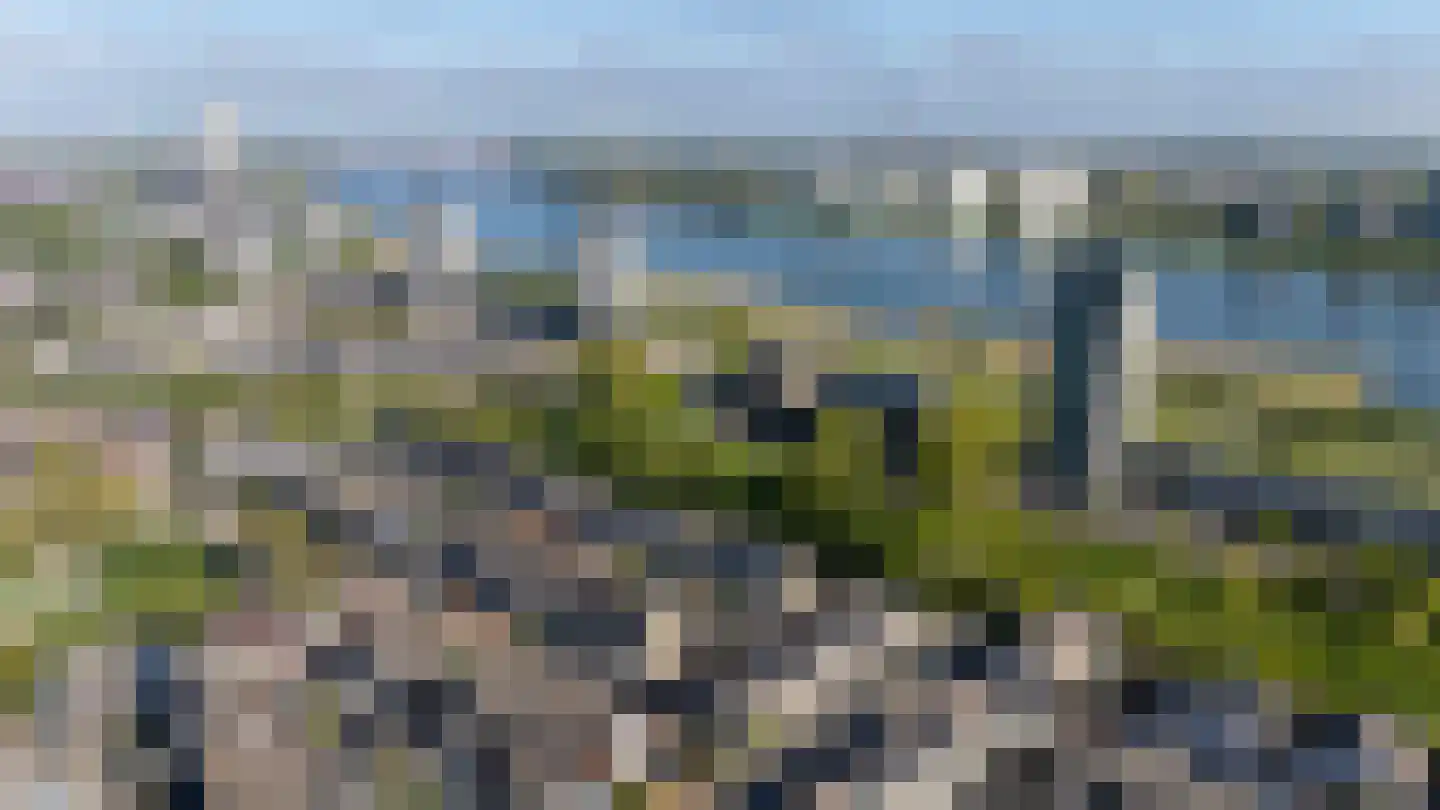 Mekongstraat 5 Spijkenisse thumbnail 42