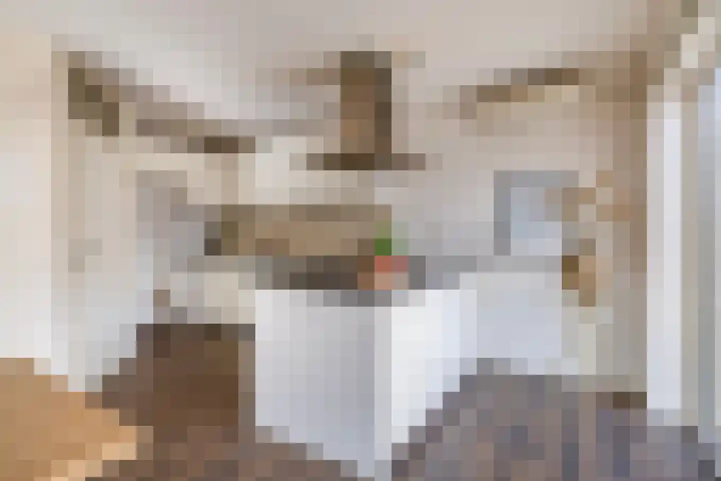 Mekongstraat 5 Spijkenisse thumbnail 6