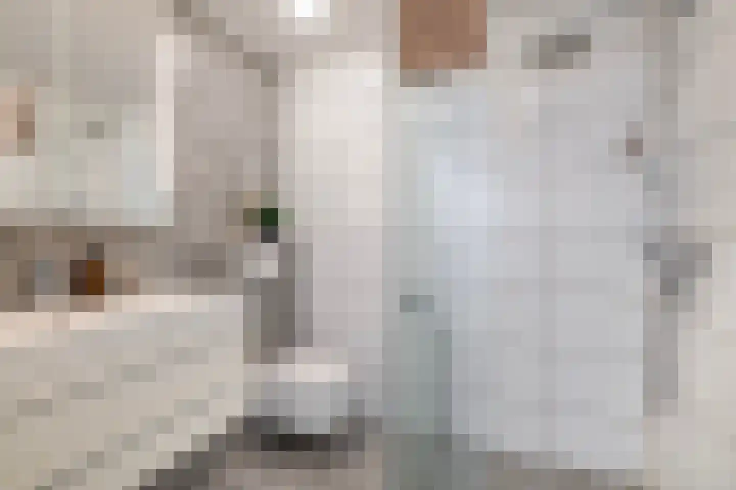 Mekongstraat 5 Spijkenisse thumbnail 8