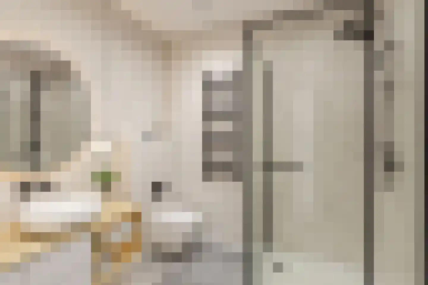 Mekongstraat 5 Spijkenisse thumbnail 9