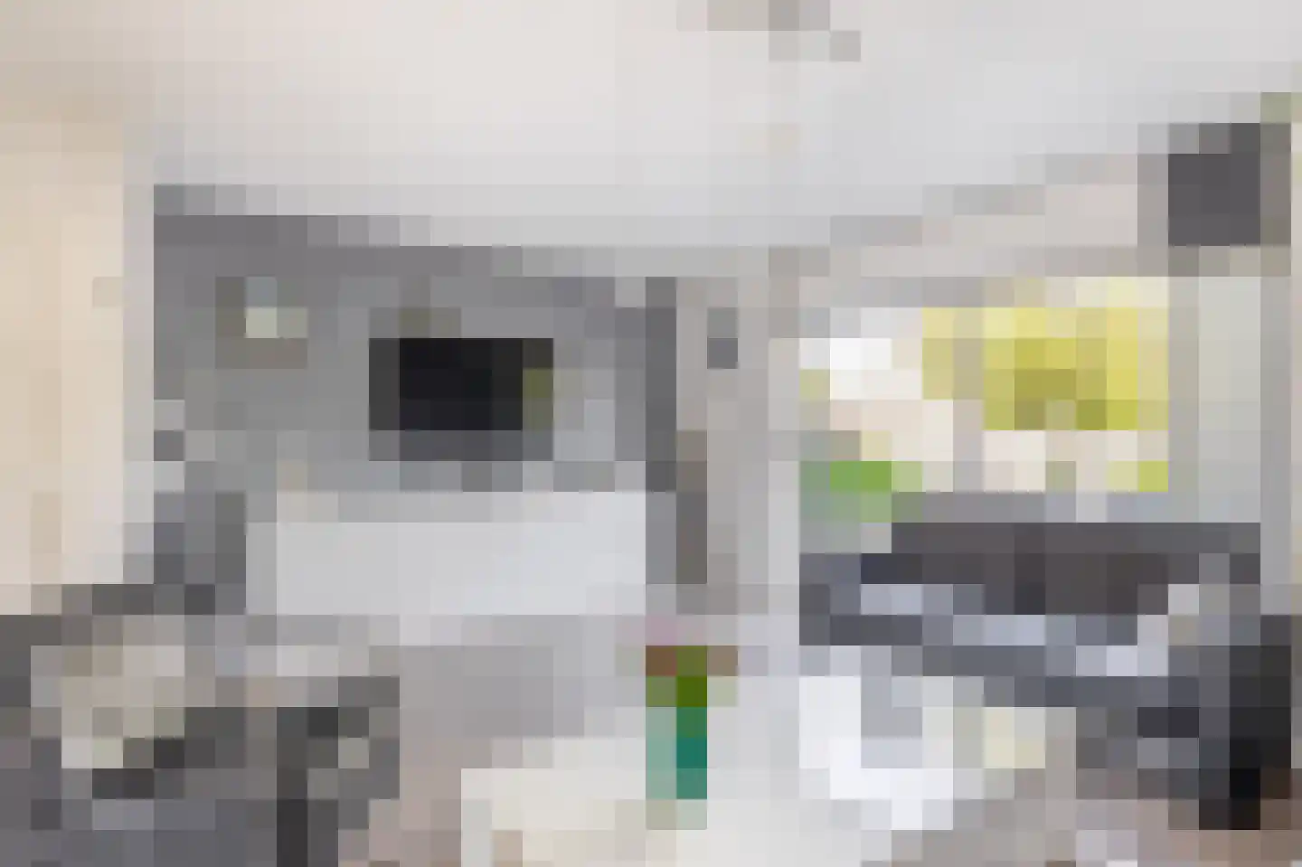 Melanchtonweg 69 Rotterdam thumbnail 9