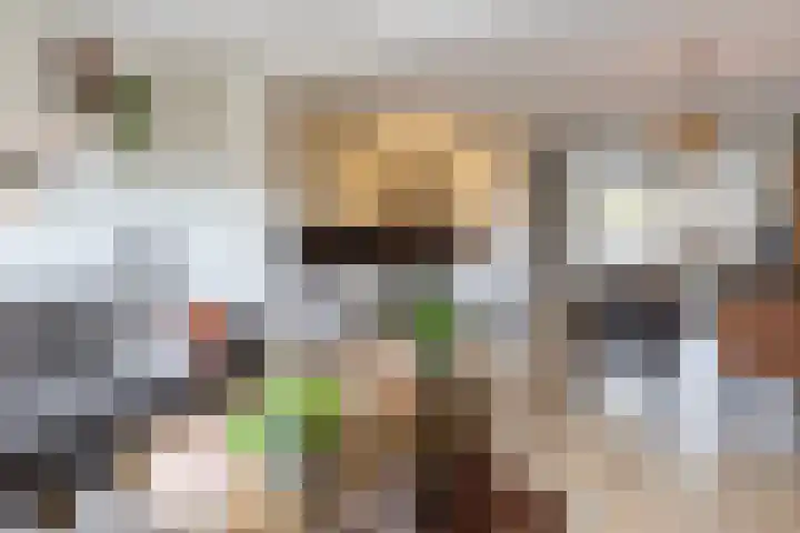 Melanendreef 148 Bergen op Zoom thumbnail 8