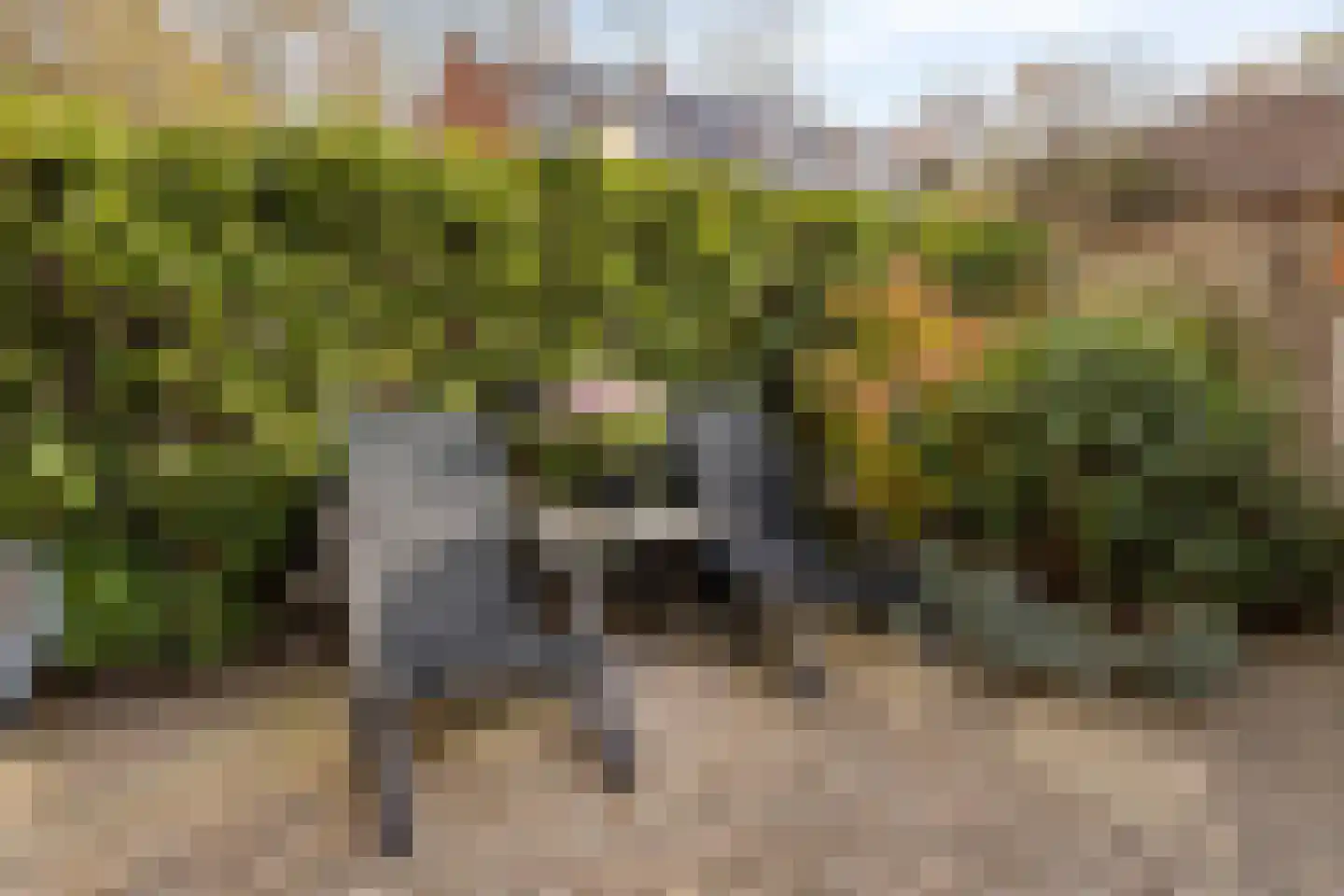 Melanendreef 172 Bergen op Zoom thumbnail 34
