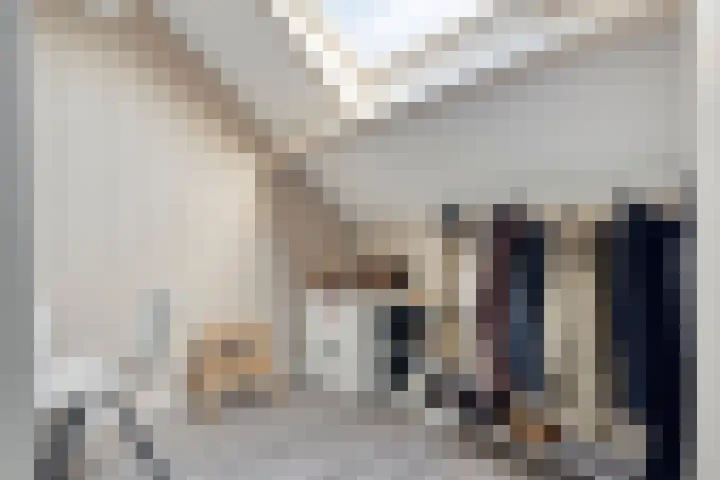 Melanendreef 18 Bergen op Zoom thumbnail 38