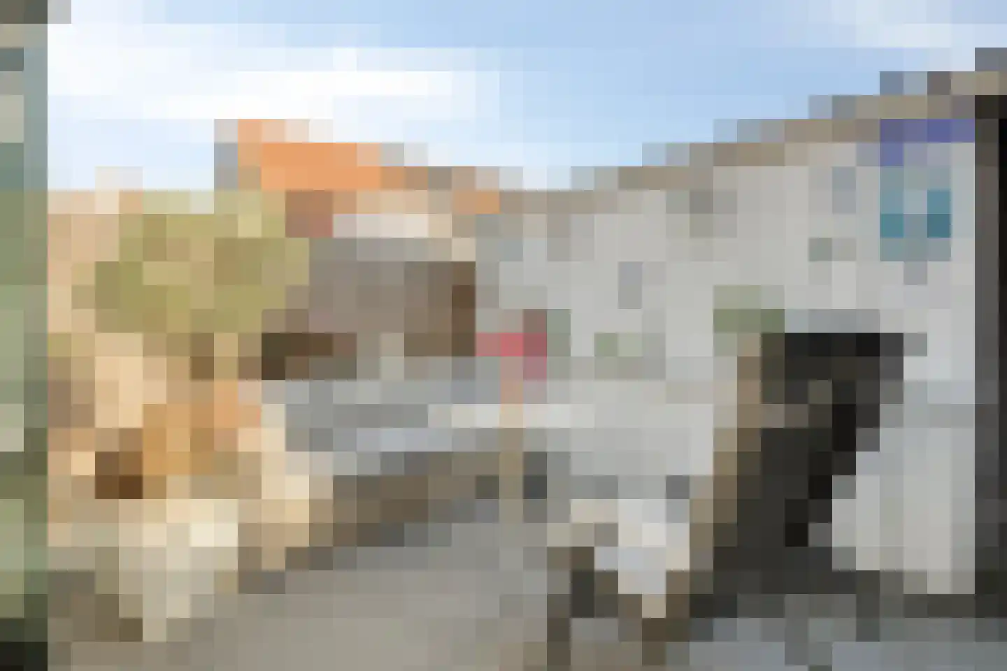 Melanendreef 18 Bergen op Zoom thumbnail 44