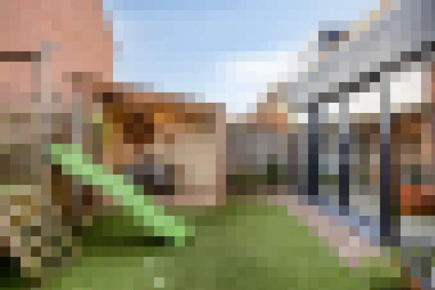 Melanendreef 180 Bergen op Zoom thumbnail 28