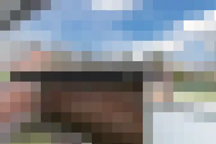 Melanendreef 264 Bergen op Zoom thumbnail 41
