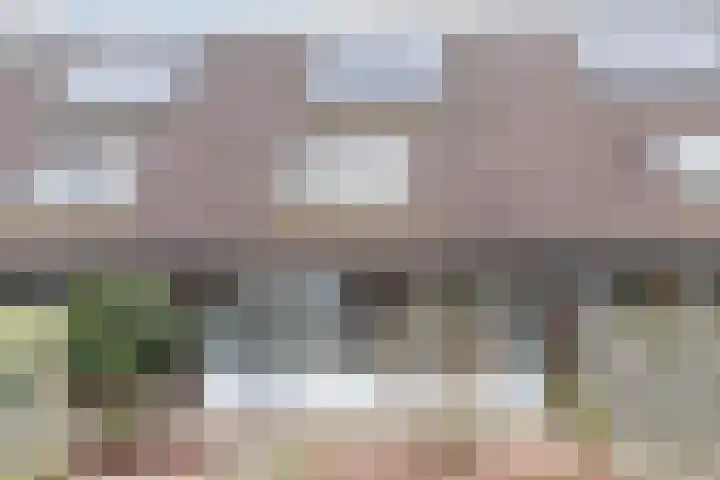 Melanendreef 264 Bergen op Zoom thumbnail 47