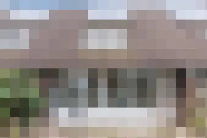 Melanendreef 264 Bergen op Zoom thumbnail 49