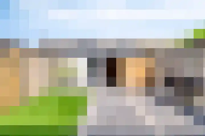 Melanendreef 99 Bergen op Zoom thumbnail 30