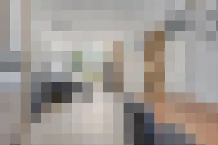 Melanendreef 99 Bergen op Zoom thumbnail 5
