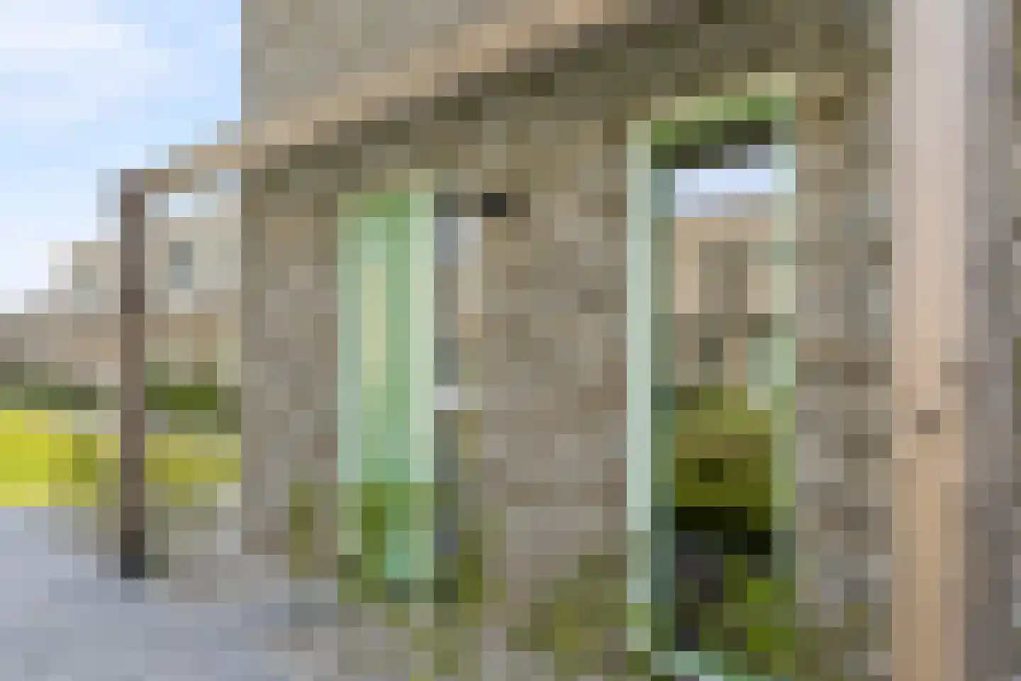 Melanie Kleinpad 55 Almere thumbnail 8