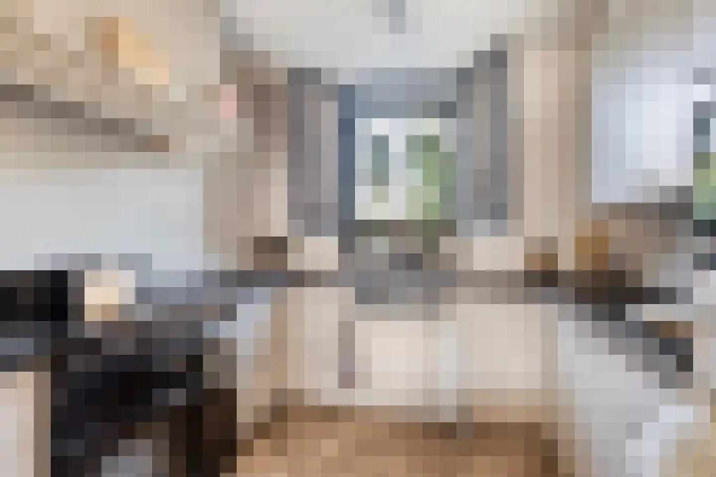 Melassekaai 7 Bergen op Zoom thumbnail 14