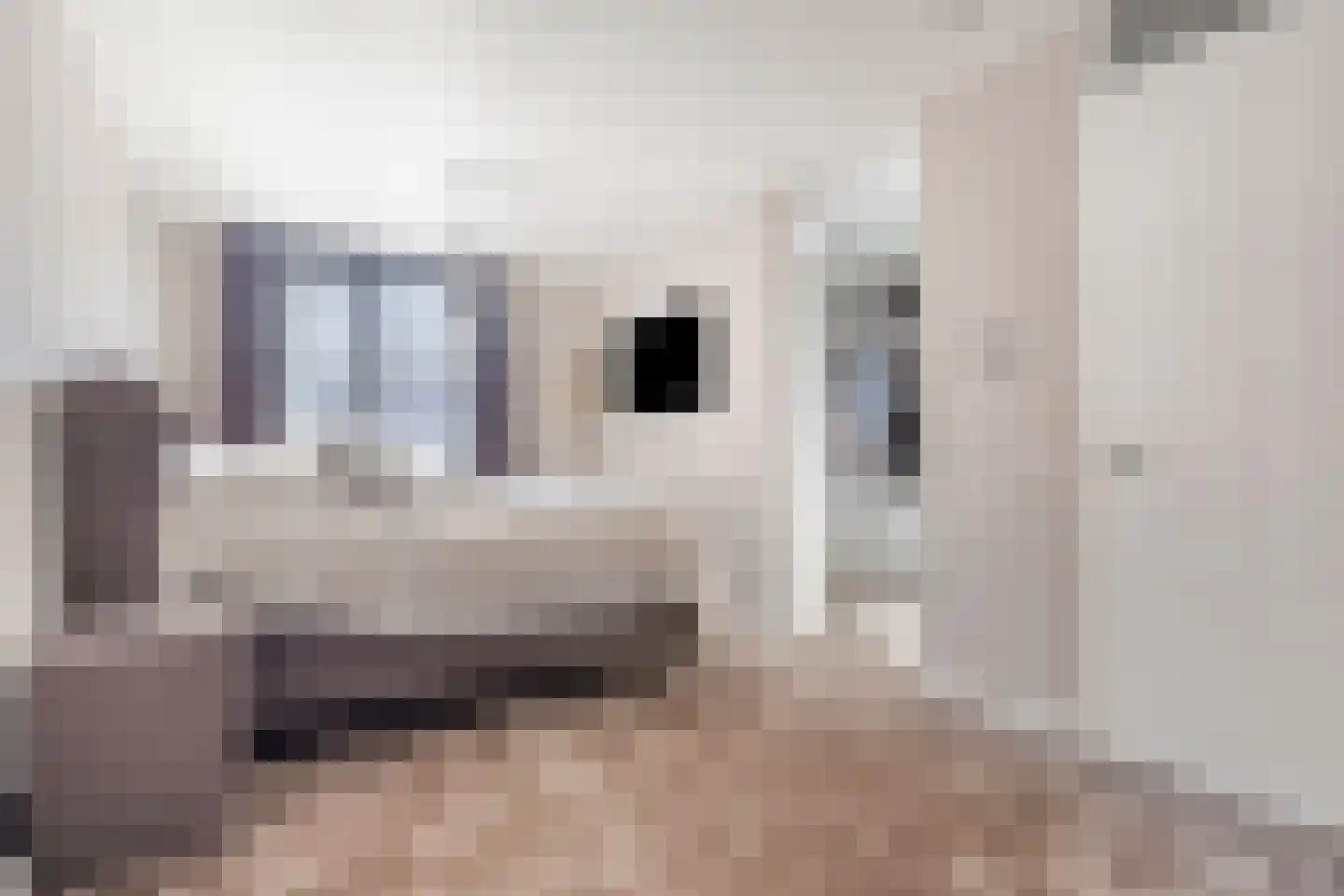 Melassekaai 7 Bergen op Zoom thumbnail 17