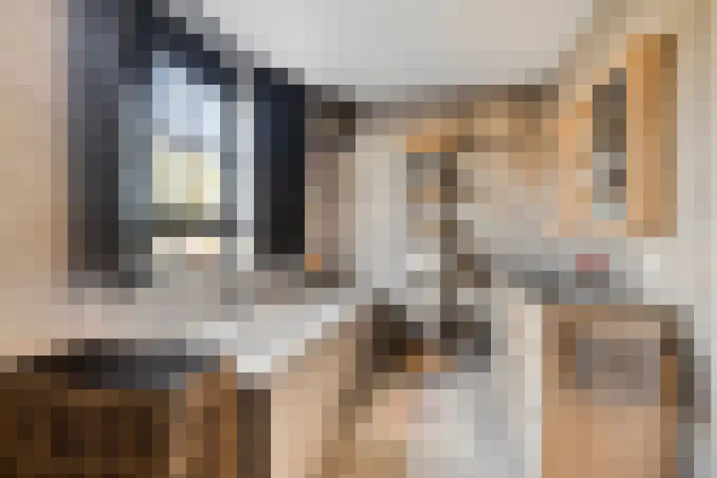 Melassekaai 7 Bergen op Zoom thumbnail 20