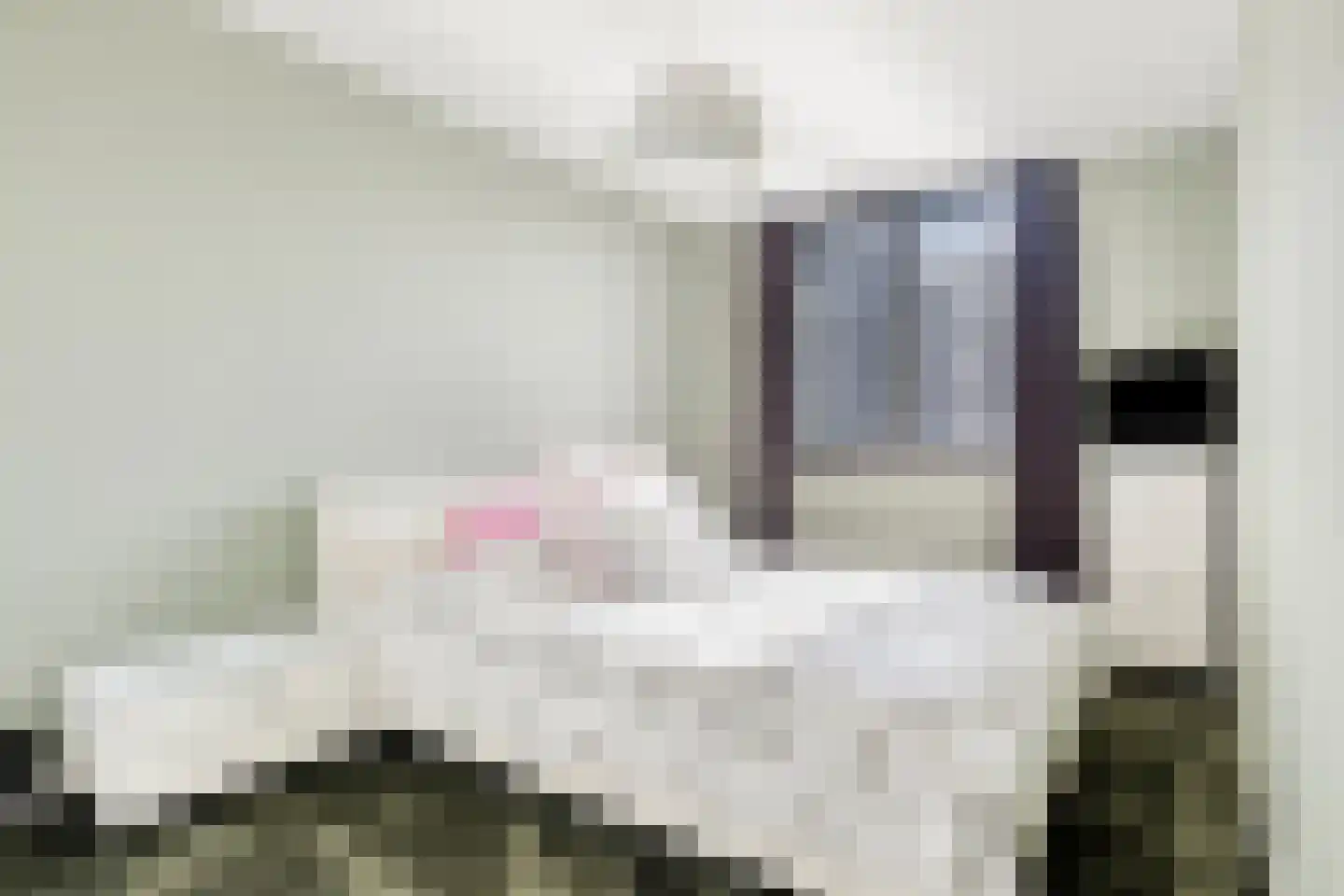 Melassekaai 7 Bergen op Zoom thumbnail 26