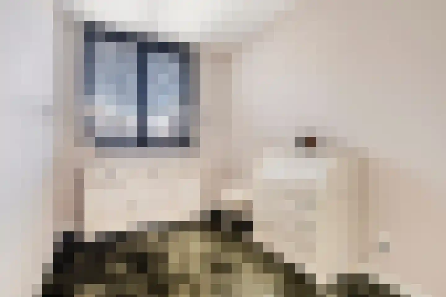 Melassekaai 7 Bergen op Zoom thumbnail 30