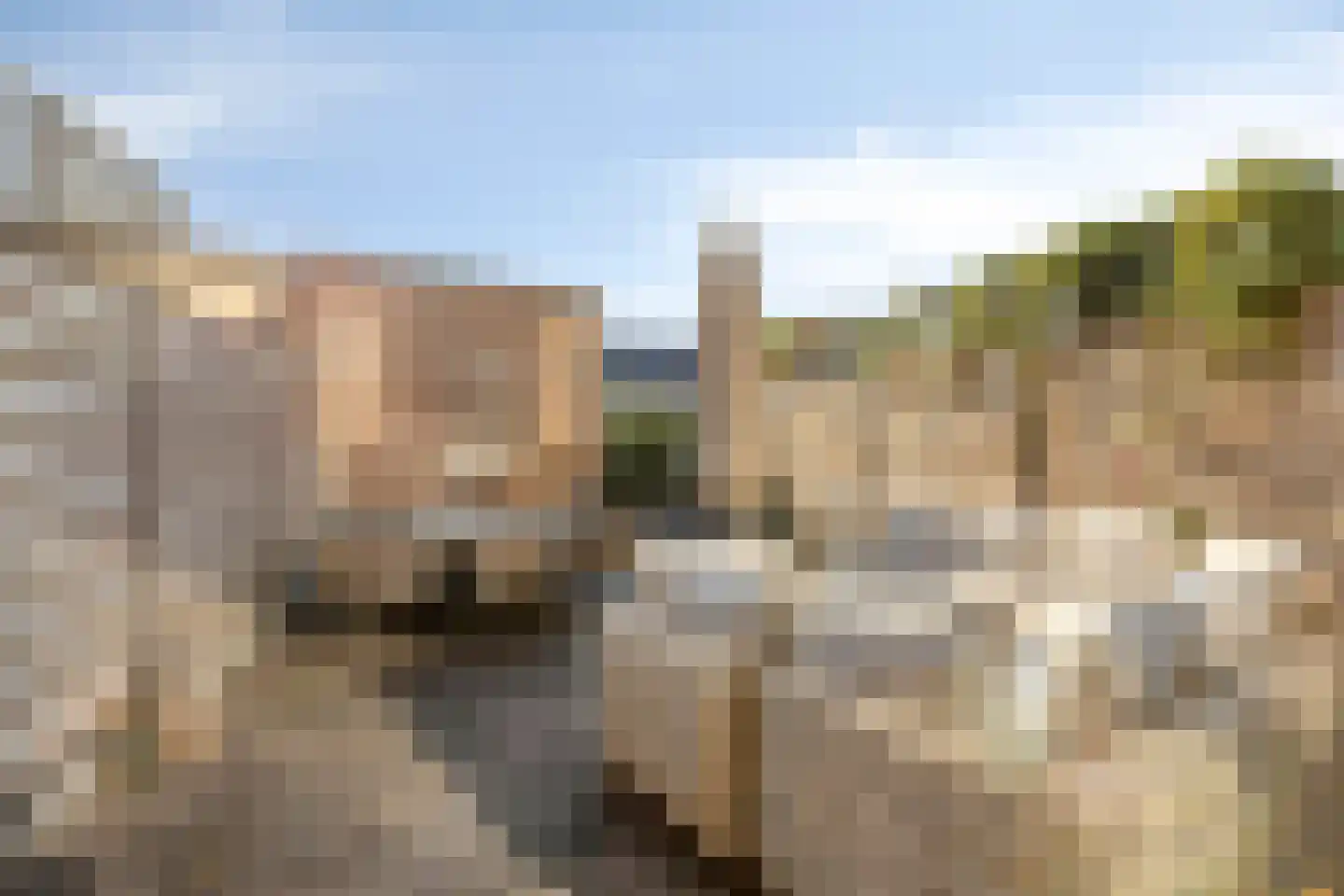 Melassekaai 7 Bergen op Zoom thumbnail 33