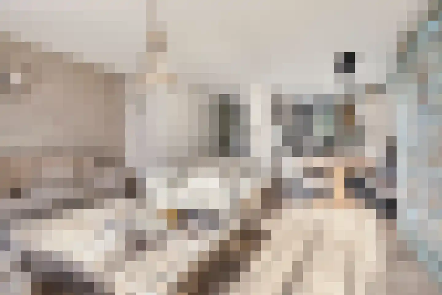 Melassekaai 7 Bergen op Zoom thumbnail 9