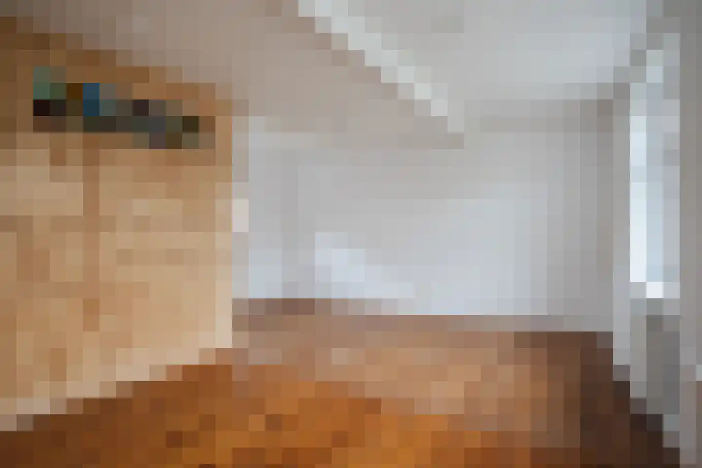 Melatensteeg 5 Zutphen thumbnail 10