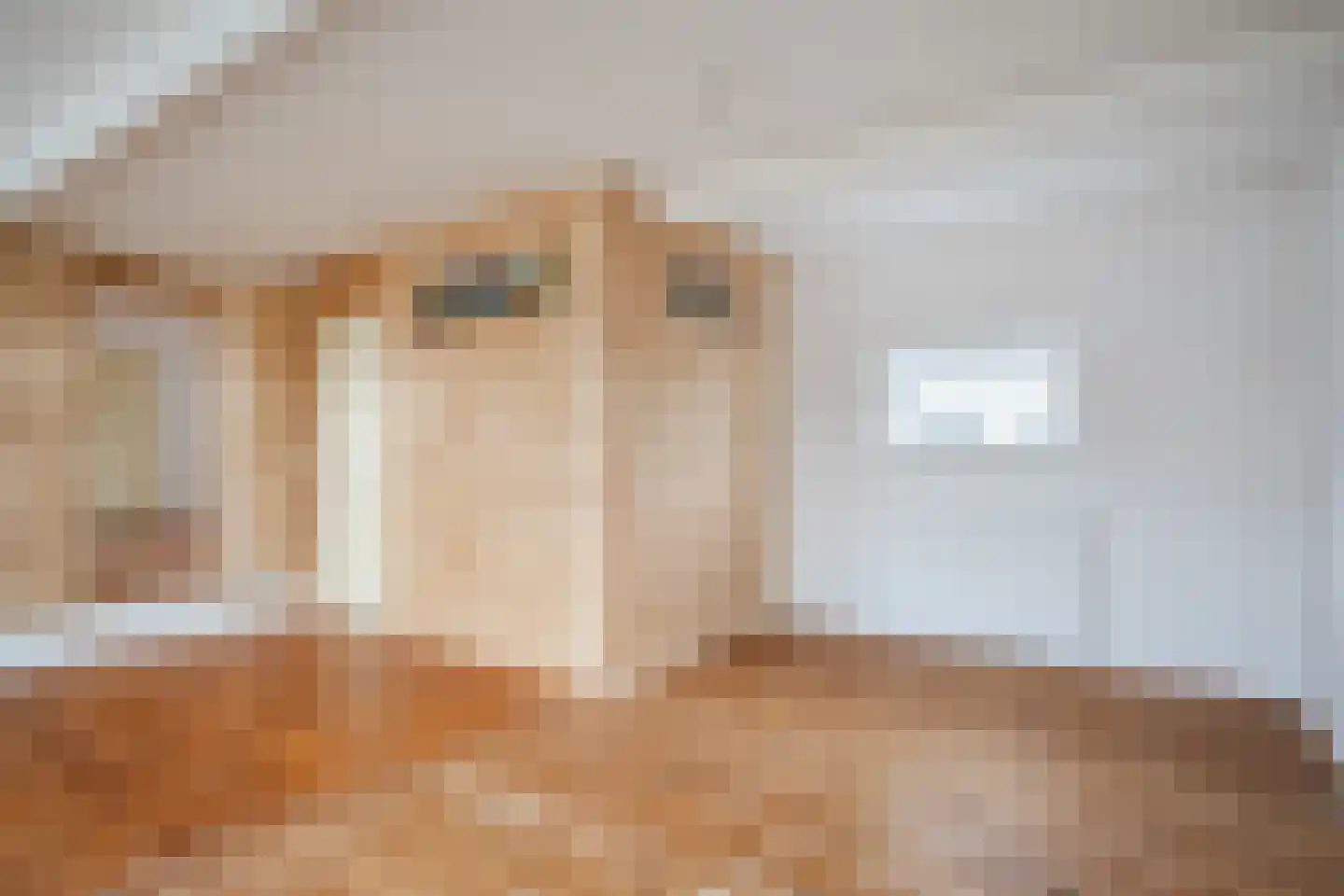 Melatensteeg 5 Zutphen thumbnail 11