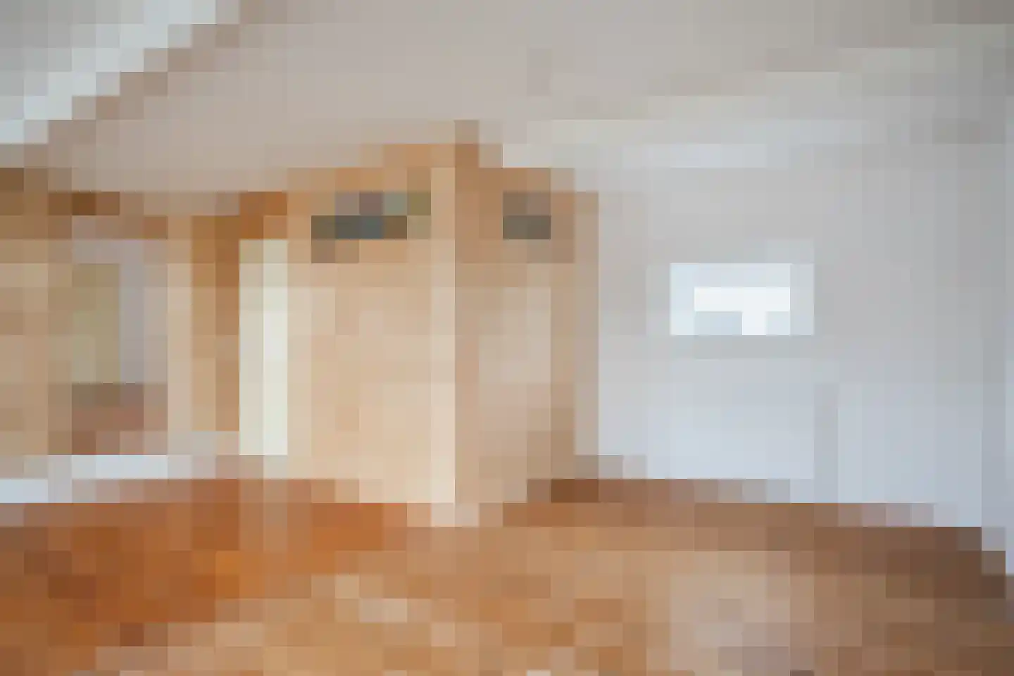 Melatensteeg 5 Zutphen thumbnail 13