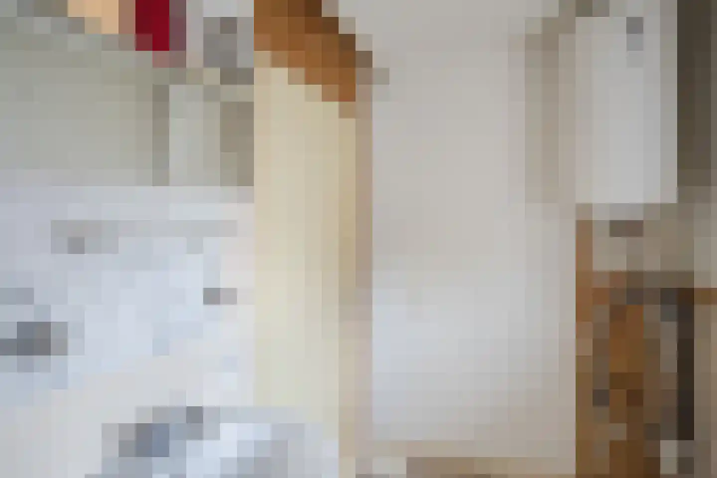 Melatensteeg 5 Zutphen thumbnail 15