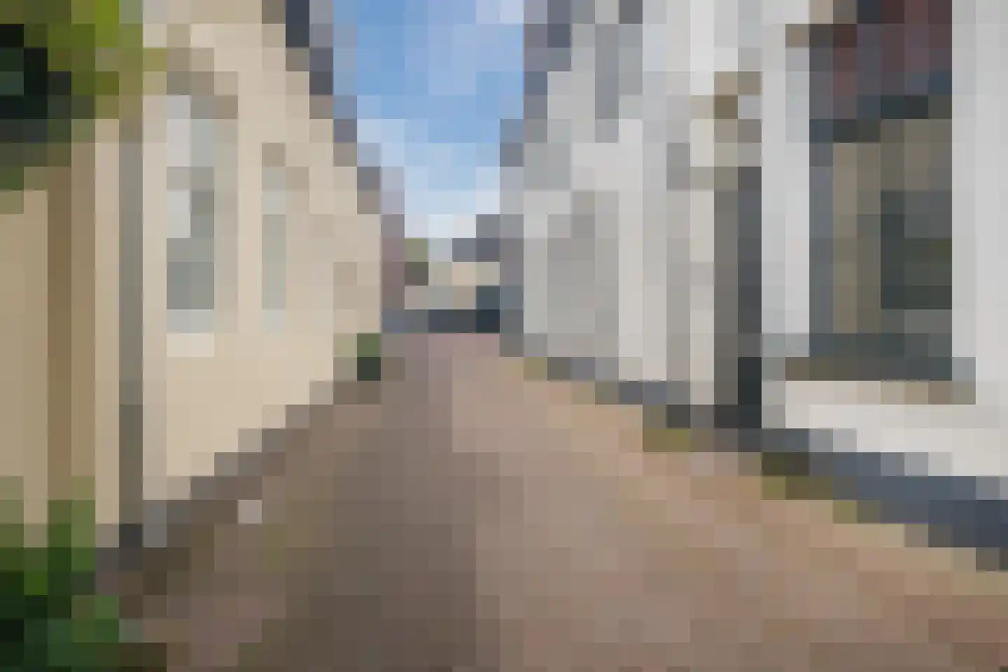 Melatensteeg 5 Zutphen thumbnail 45